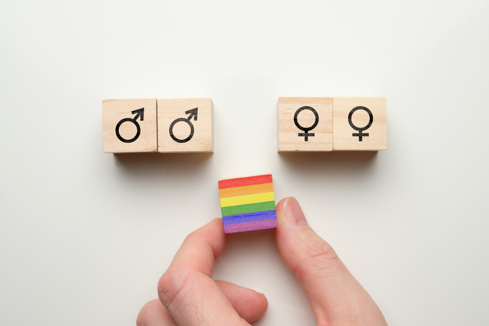 Assessorament en Igualtat de Gènere i LGTBI per Ajuntaments: Oportunitat de la Diputació de Barcelona